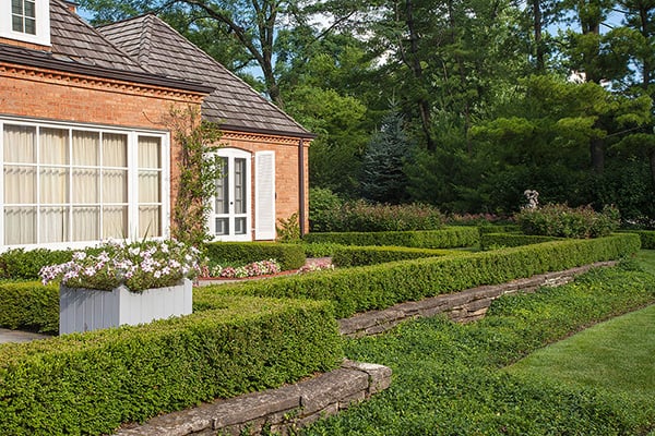 Front Yard Landscaping Creates an Impressive Winnetka Entry - Van