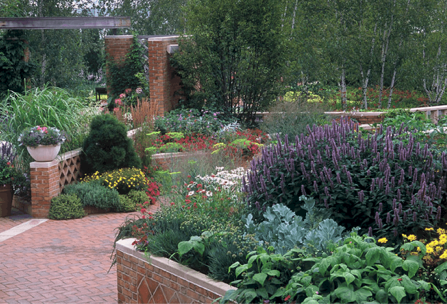 Native Plants At The Chicago Botanic Garden Van Zelst 8562