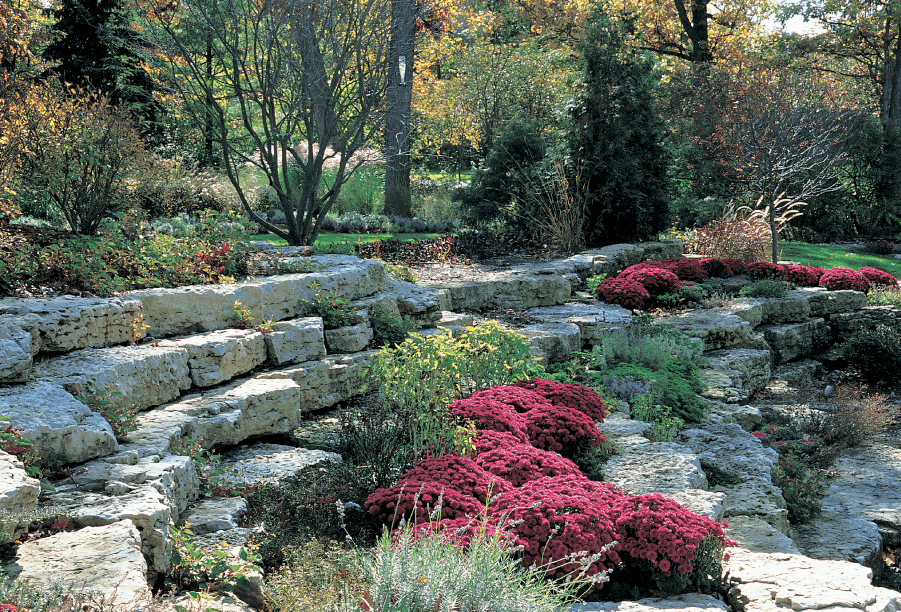 outcropping with red sedum in full bloom