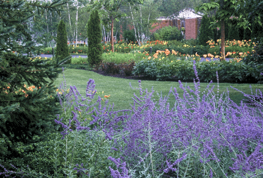 Botanic Garden Perennials