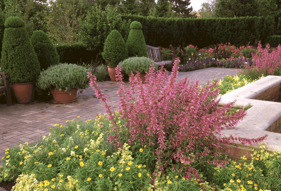 Chicago Botanic Garden Color