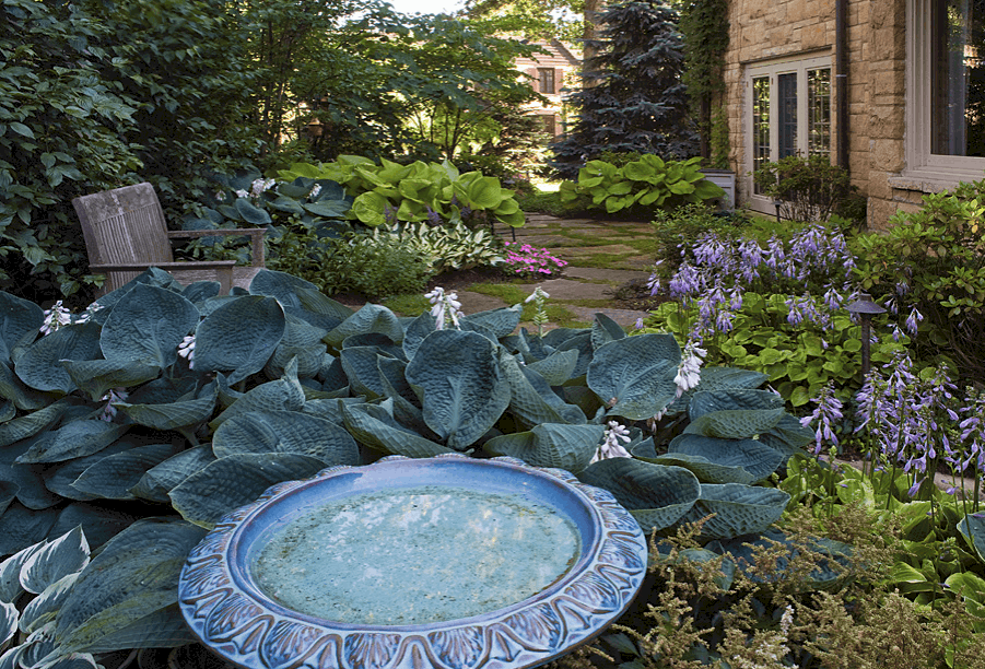 shade garden with birdbath in the foreground