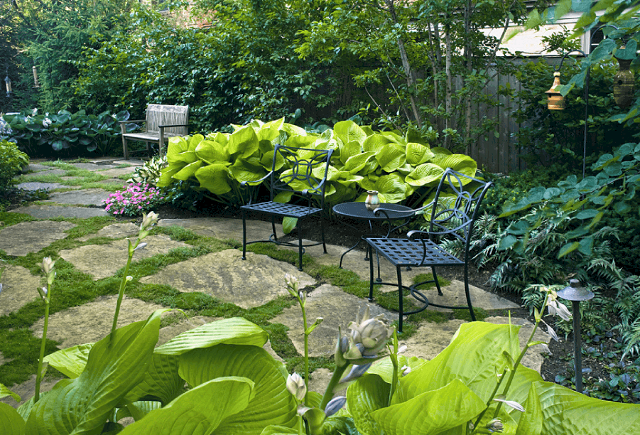 two black iron chairs in shaded patio garden