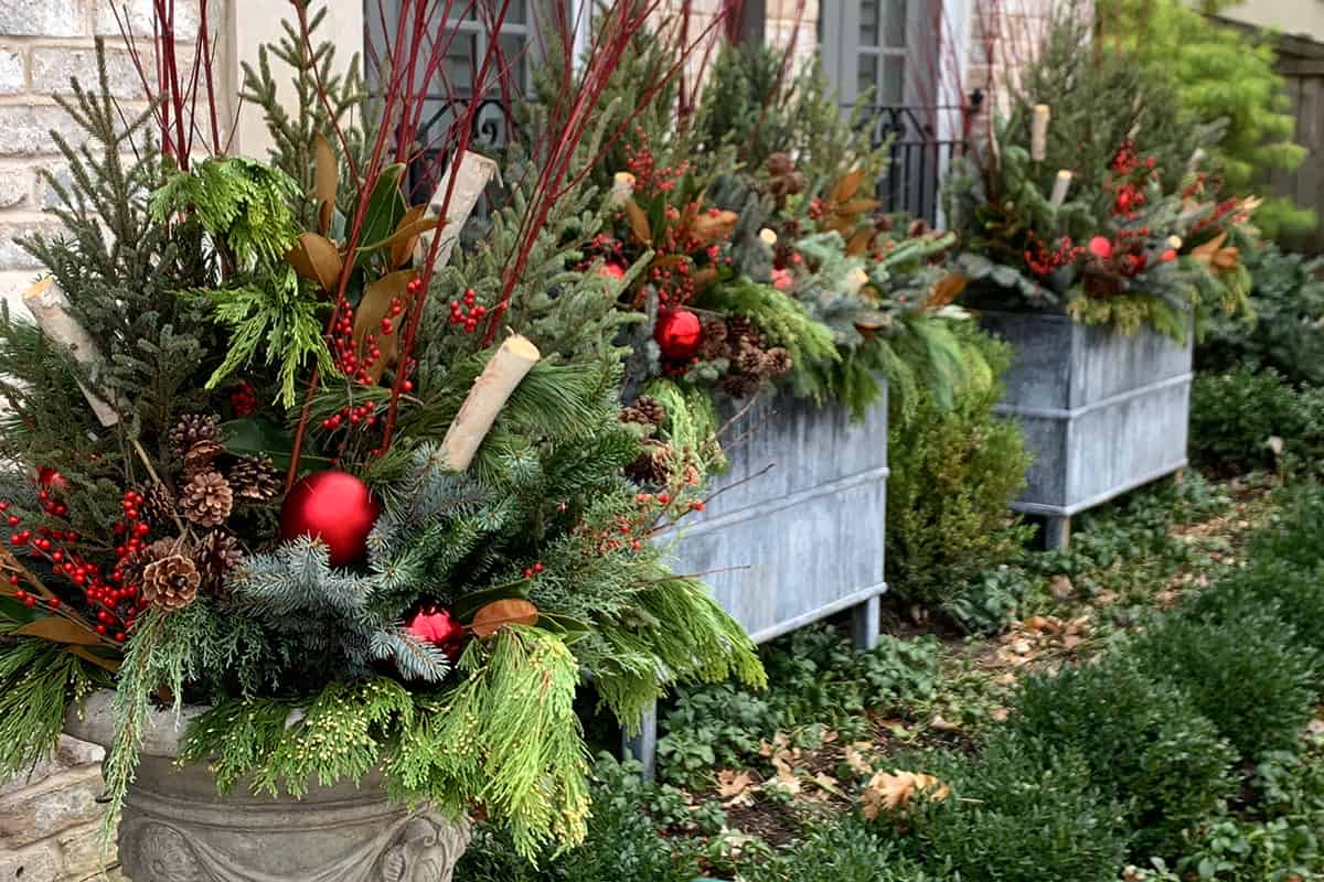 Christmas Container Gardens in Illinois