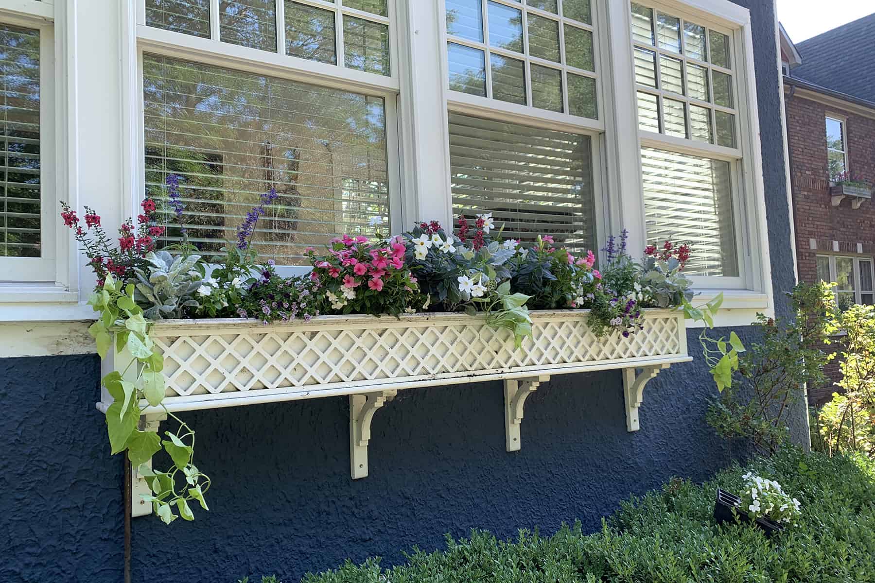 lattice flower box with annuals