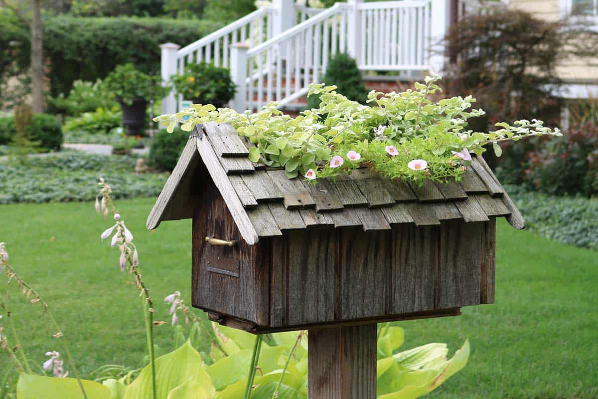 mailbox-planter-shake-roof