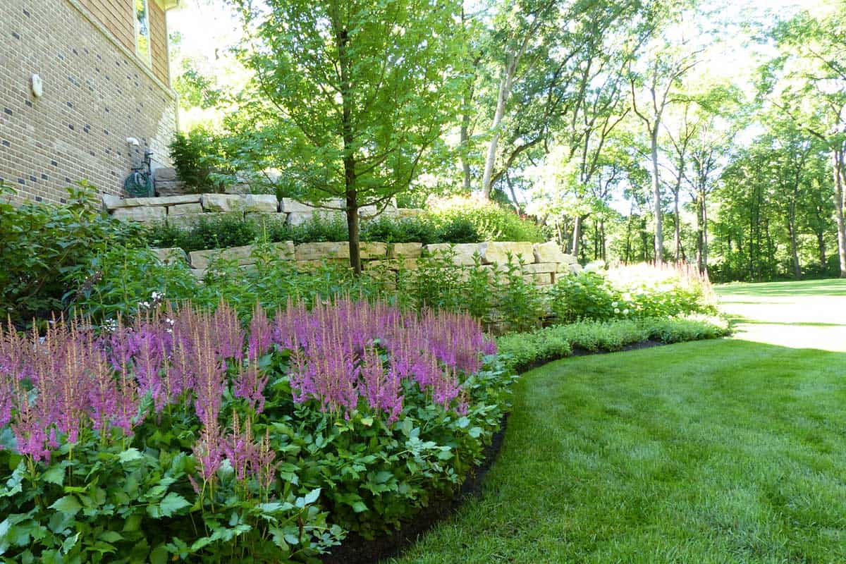 Large Astilbe Bed with Outcropping Retaining Wall