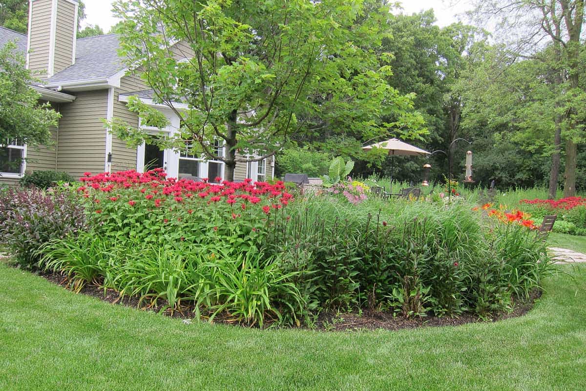 large perennial bed in bristol wi