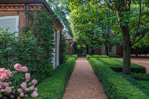 decomposed granite pathway with formal boxwood hedge