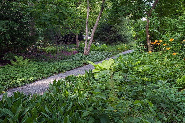 Shady pathway garden in Winnetka, IL