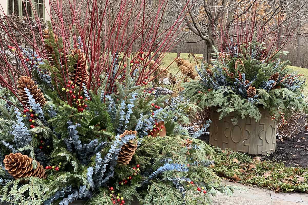 Seasonal Containers for a Winter Landscape