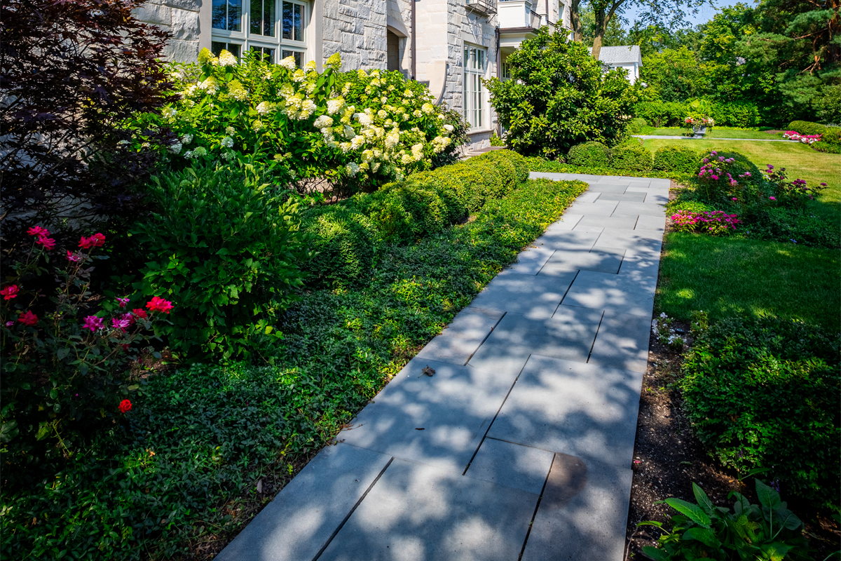 Elegant Bluestone Walkway