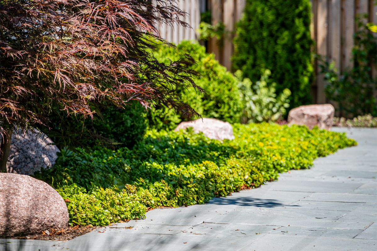 Elegant Garden Pathway