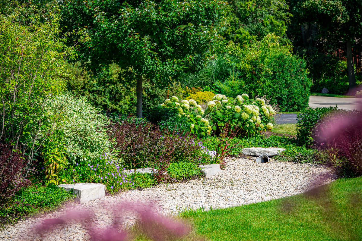 rock swale for drainage