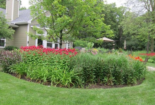 tall red perennials in mixed bed