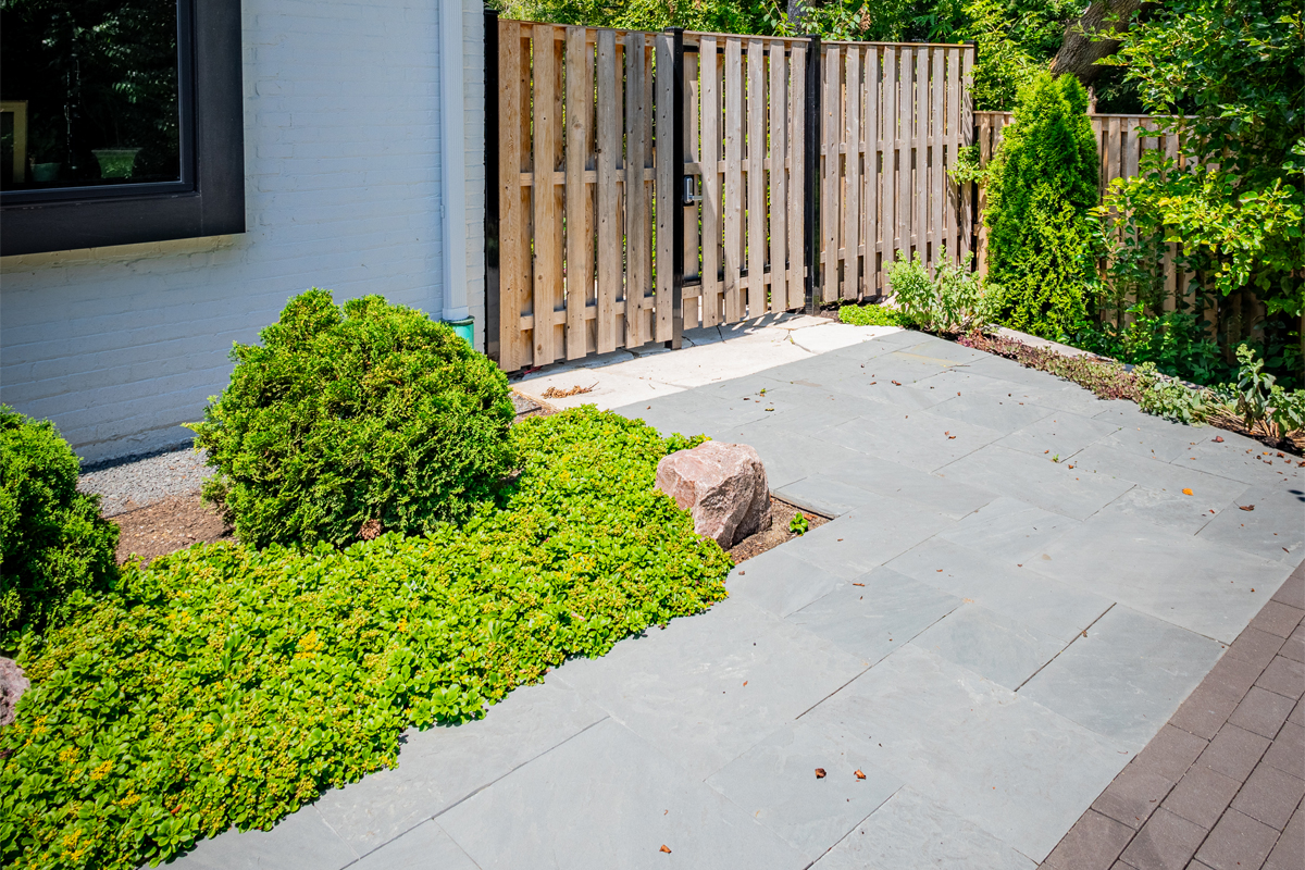 Modern Walkway with Natural Accents